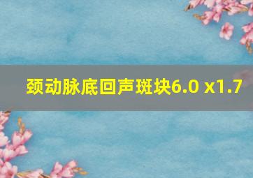 颈动脉底回声斑块6.0 x1.7